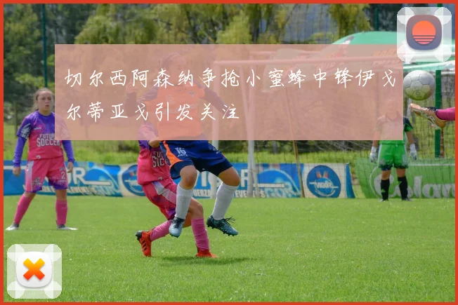 切尔西阿森纳争抢小蜜蜂中锋伊戈尔蒂亚戈引发关注